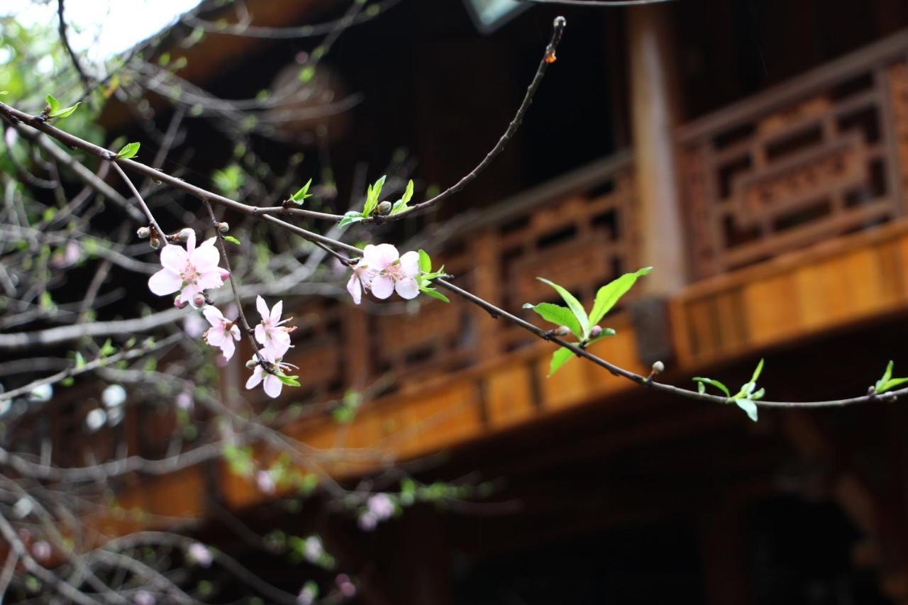 Maison Teahouse Homestay Ha Giang Esterno foto