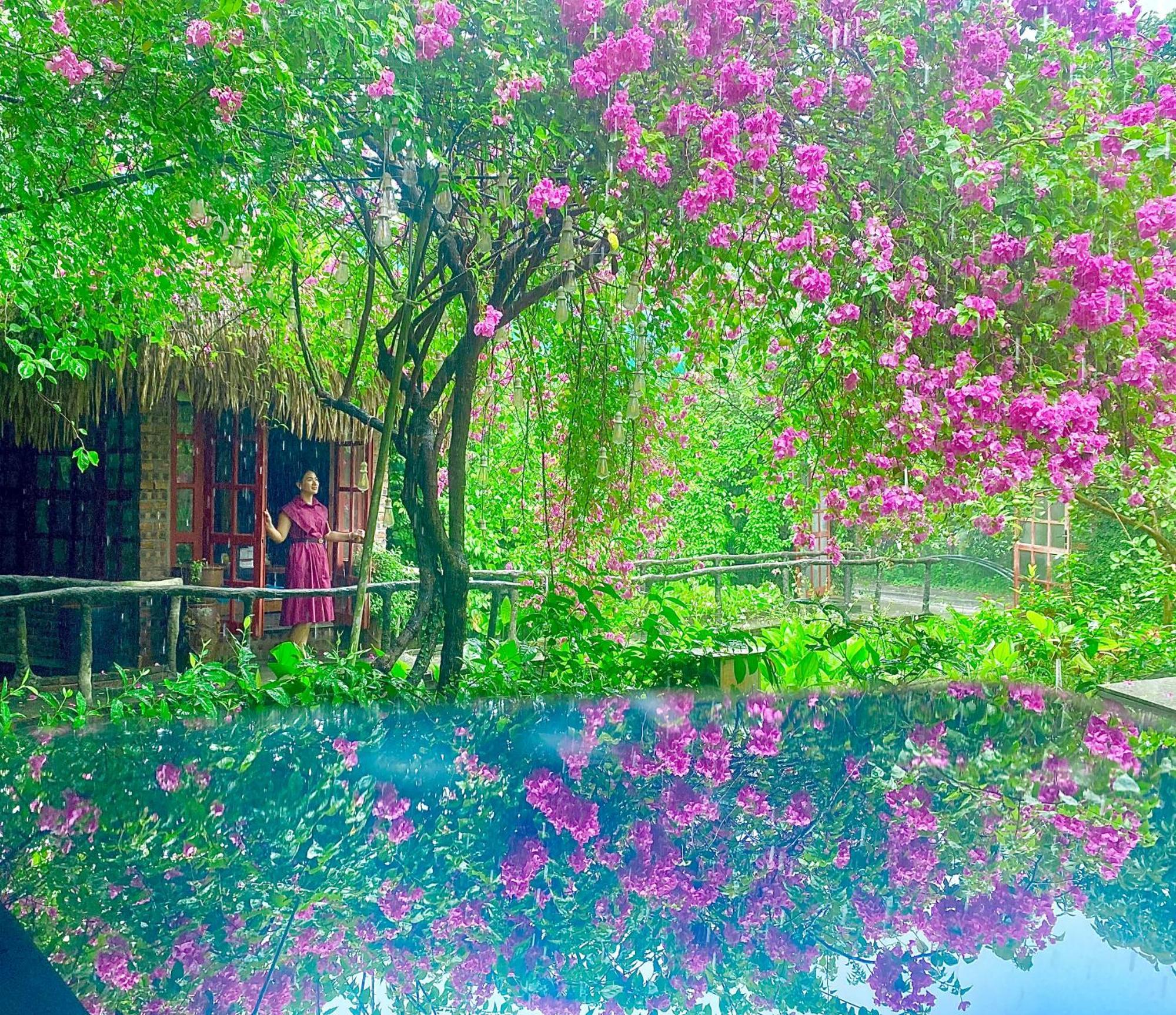 Maison Teahouse Homestay Ha Giang Esterno foto
